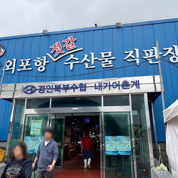  강화도 젓갈축제 현장 방문! 외포항 직판장에서 새우젓 득템 후기