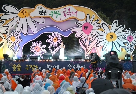정읍구절초축제 일정 장소 기본정보 및 주차 팁 안내