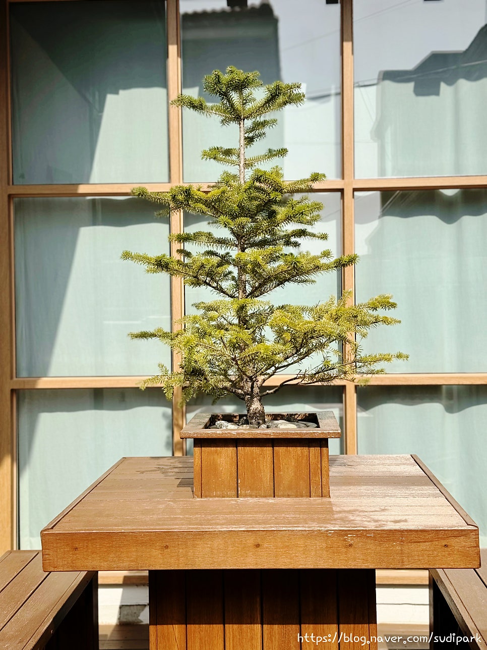 느린가 사진 3