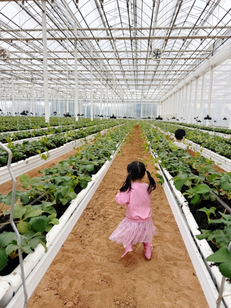  주간일기 리부트 | 10월 6일부터 12일까지