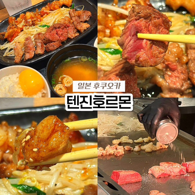  일본 후쿠오카 하카타역 지하 1번가 맛집, 텐진호르몬 오픈런 웨이팅 메뉴 소스 추천