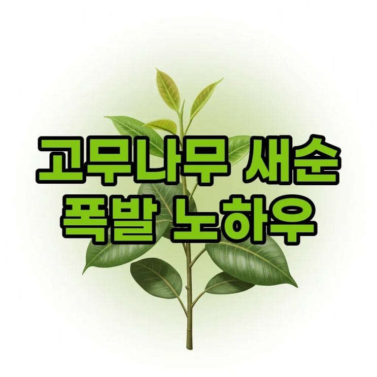  인도고무나무 키우기: 물주기와 삽목으로 새순 폭발시키는 비법!