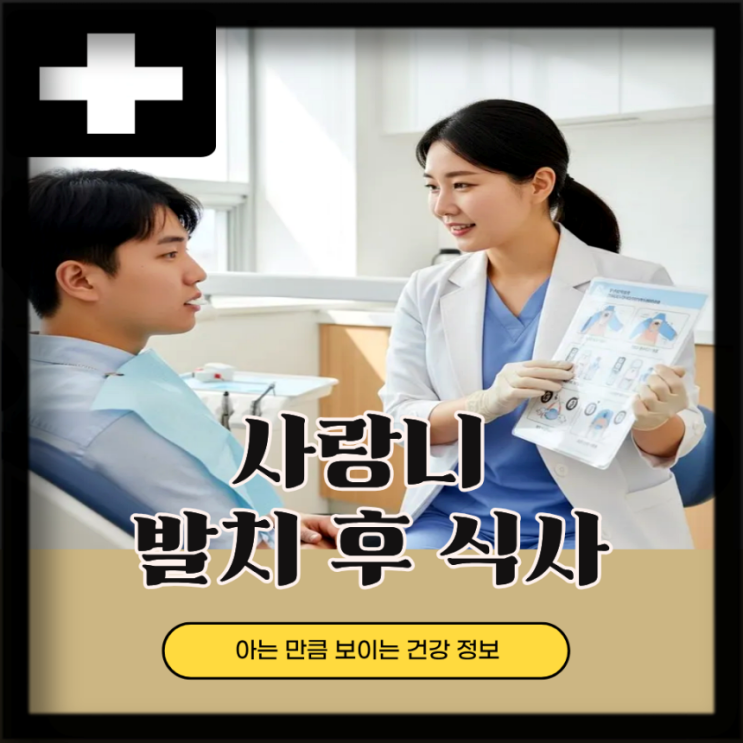  사랑니 발치후 식사 시간 음식 메뉴 추천