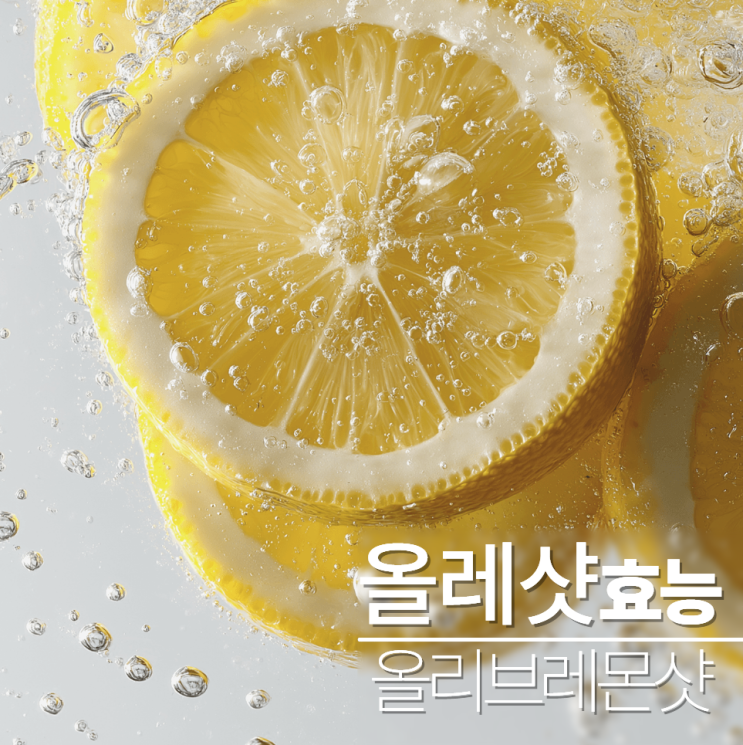  올레샷 효능 올리브레몬샷 비율 먹는법