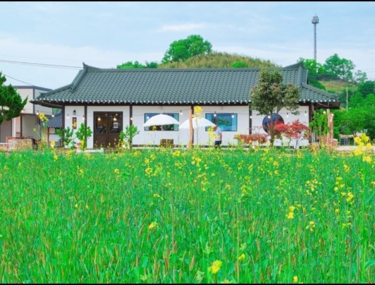  서산 한가로이 애견동반 카페 | 한우목장 옆 한옥 감성 맛집, 이렇게 예뻐도 돼?