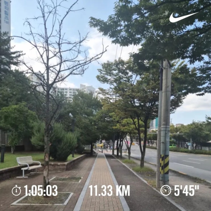 매일 러닝 달리기 조깅 챌린지 1524일차