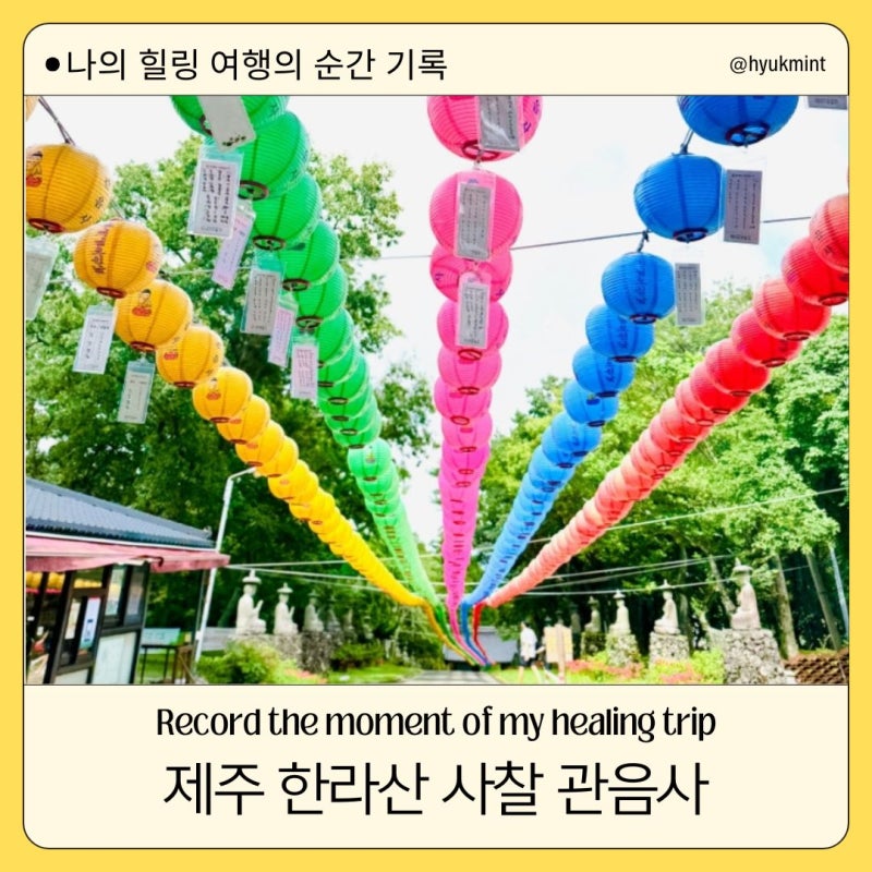 우영우 촬영지 제주 한라산 사찰 관음사 편하게 댕겨옴