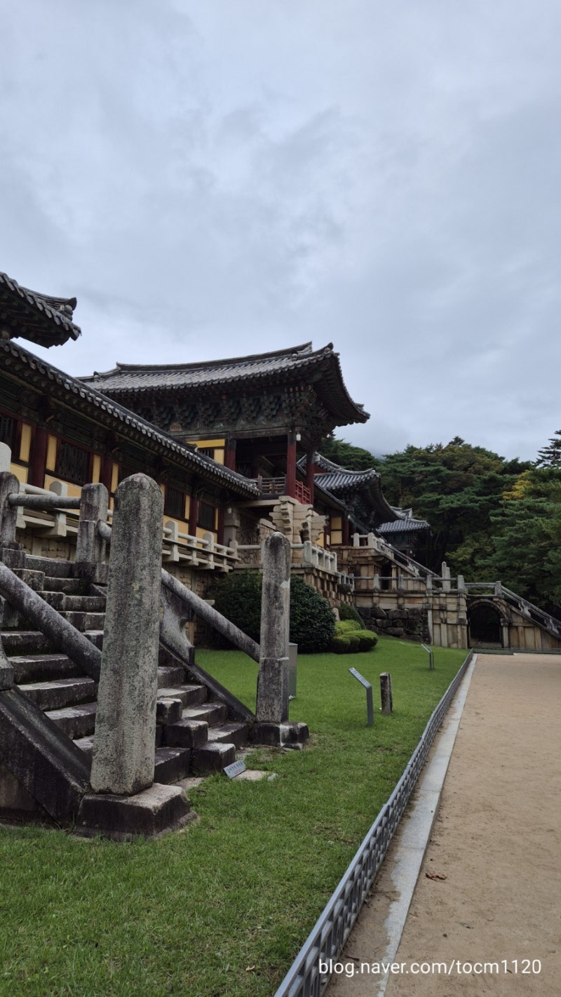 뚜벅이의 경주시티투어 세계유산투어 후기 +엄마밥
