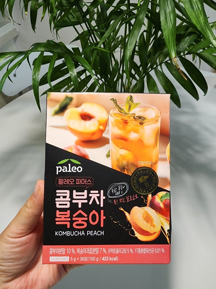  수분 충전 끝판왕, 팔레오 무설탕 콤부차 복숭아 솔직 후기