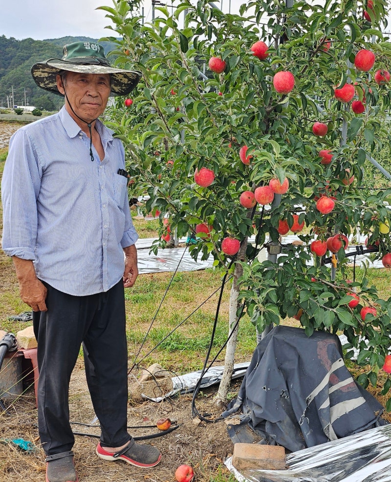 정선군 사과연구회