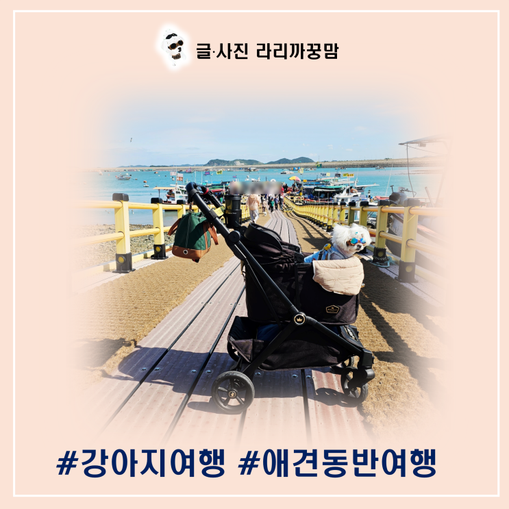  강아지랑 떠나는 서산 삼길포항 여행, 삼길포 파시에서 맛보는 진짜 회의 세계