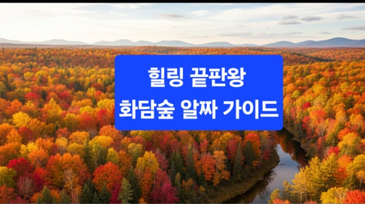  힐링 끝판왕 ‘화담숲’ 알짜 가이드/예약·모노레일·계절별 포인트 한 번에!