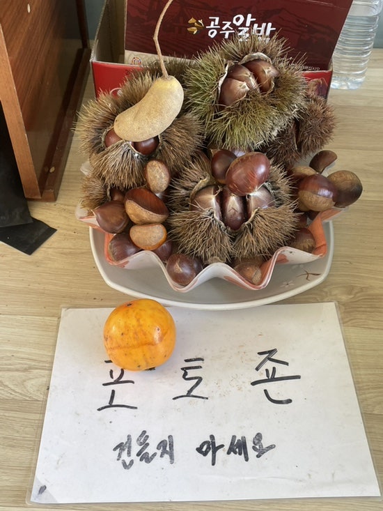 말재농원 사진 6