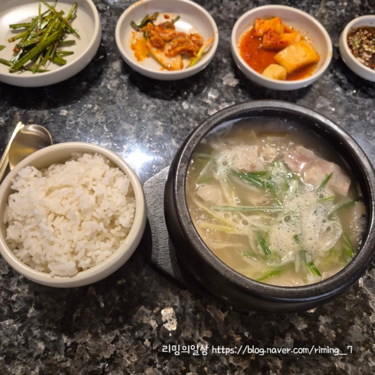  부산 해운대 국밥 내돈내산 수국