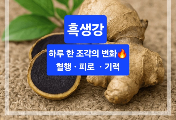  “흑생강, 알고 먹으면 피로·혈행·기력까지 달라진다  하루 한 조각의 변화”