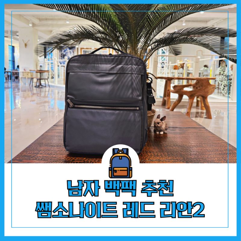 쌤소나이트 레드 백팩 리안2 16인치 노트북 남자 직장인백팩
