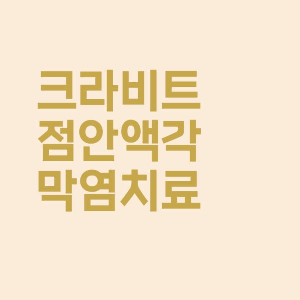  크라비트점안액 각막염 치료하는 안약으로 처방받았습니다