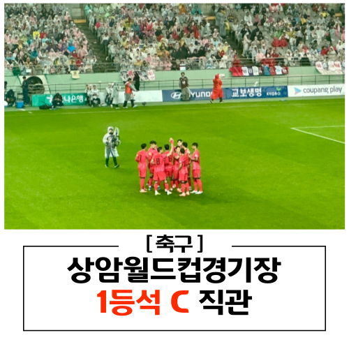대한민국 vs 브라질 상암 1등석 C 직관 후기