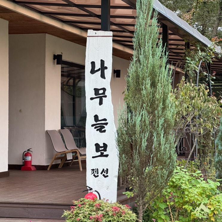 강화도 오션뷰 펜션 추천! 바다 보며 바베큐 가능한 나무늘보 펜션 후기