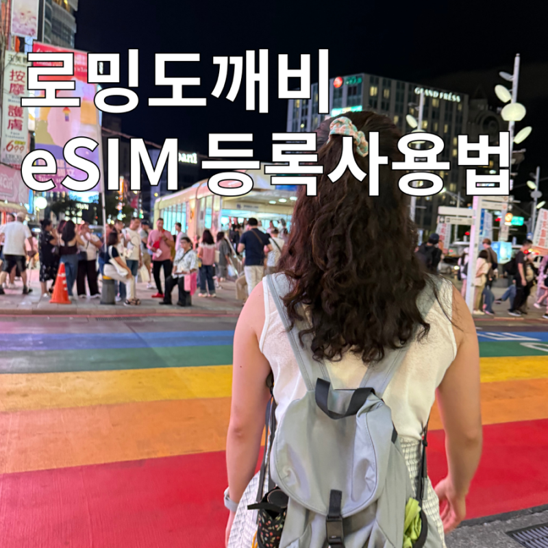 로밍도깨비 esim 이심 등록 사용법 대만 4박5일여행