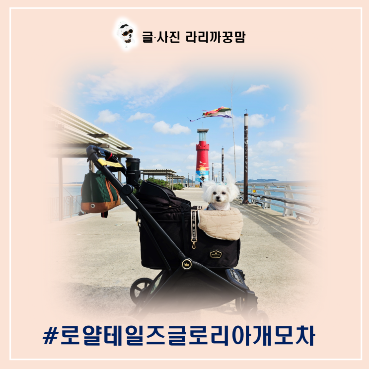  로얄테일즈 글로리아 개모차가 펼쳐준 마법: 다리 아픈 꿍이와 삼길포 등대 애견동반여행 후기