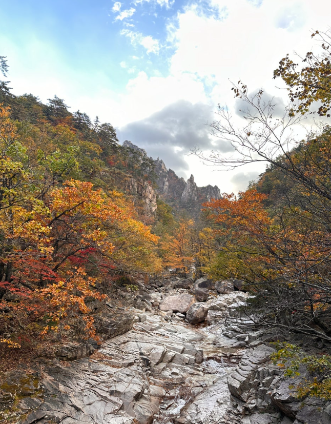  가을 단풍 명소 등산 코스 추천 (북한산/설악산/내장산/오대산/팔공산/지리산피아골)