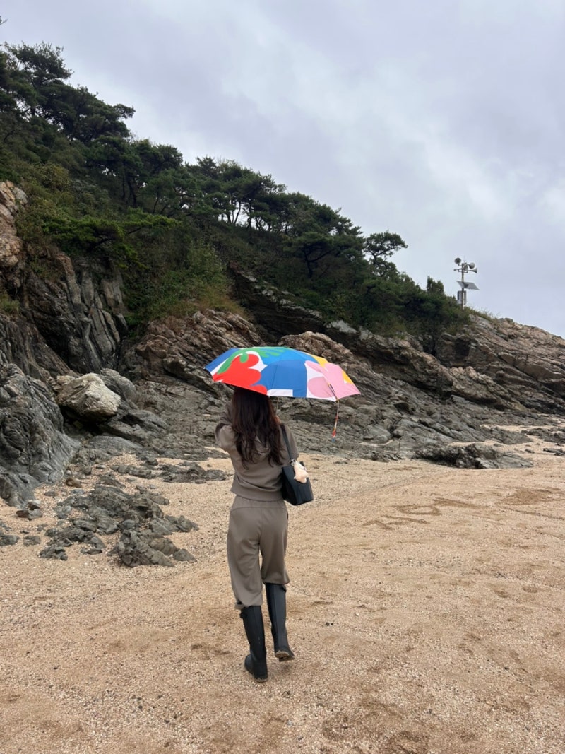 안다르 마일드무스 셋업 후기