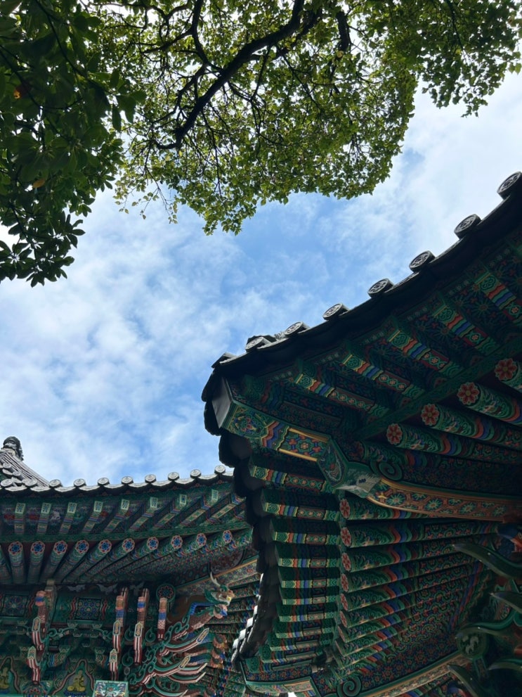  여수 향일암 공영주차장 | 이용 꿀팁! 주차 위치·요금·이용 후기