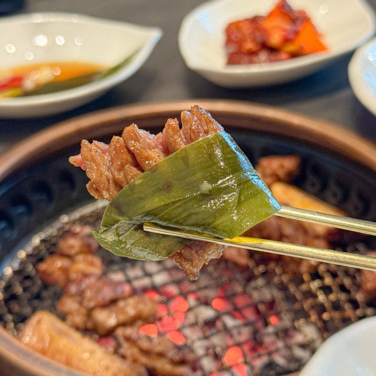  의정부 맛집 룸식당 우설화 고급스러운 소고기집 추천