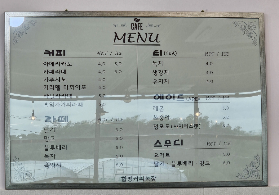 함평커피농장 사진 3