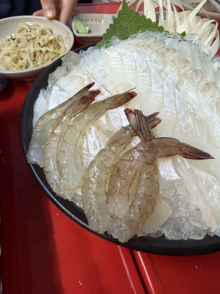  [현대회수산시장] 독산동 횟집 우시장 회 맛집 스끼다시 좋음 생새우 후기