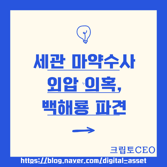 세관 <b>마약수사 외압</b> 의혹, 백해룡 파견
