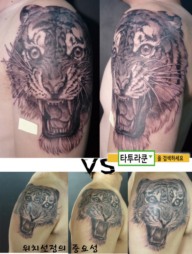  호랑이 문신으로 설명하는 "문신 위치 결정"의 중요성-홍타투라쿤 자료입니다./타투 비교자료/ 신체 부위 별 문신 이미지