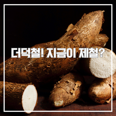 지금이 진짜 더덕철? 제대로 정리하고 완전 정복하기
