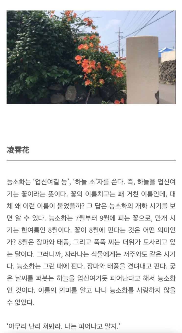  선주 월간일기 _ 8,9월(심기일전)