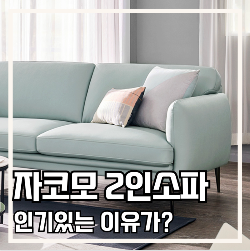 자코모 2인소파 왜 인기있을까? 디자인 가죽 가격 브랜드 특징 총정리