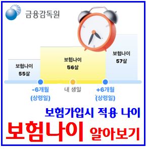  보험나이란 (ft. 상령일) : 가입나이제한, 계산방법, 기준, 변경, 뜻, 이란, 보험료인상, 영향, 차이, 생명질명상해실손, 어린이, 6개월, 계약해당일, 만기시점확정