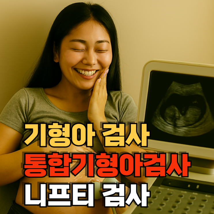  산전 기형아검사 종류/통합기형아검사, 니프티 검사