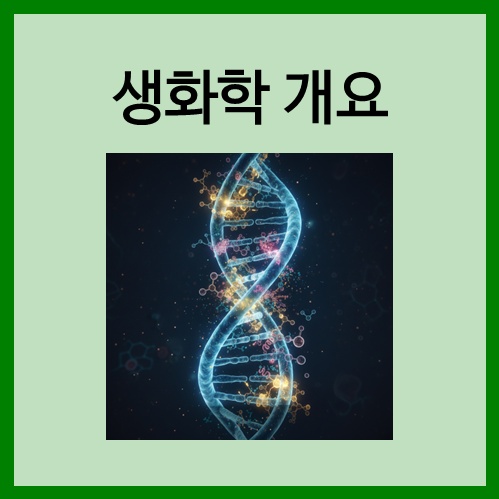 [생화학]생화학 개요