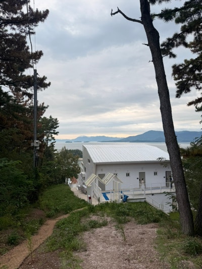 사진 2