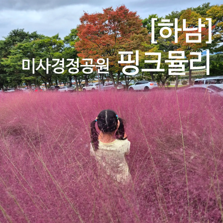  하남 미사리 조정경기장 핑크뮬리 위치 주차 인생샷 명소