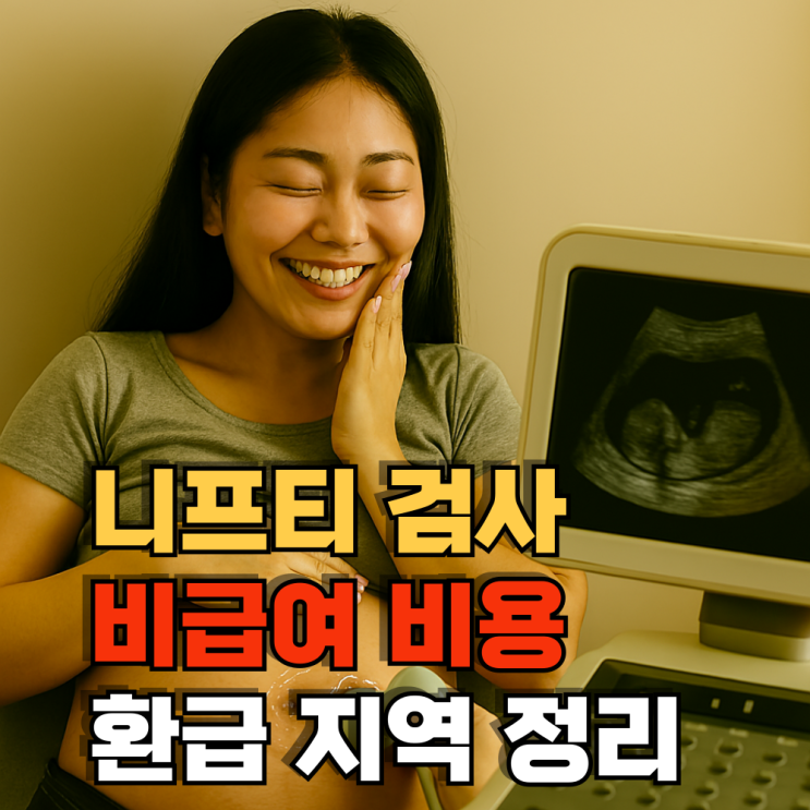  니프티 검사 비용, 환급, 지원 지역 총 정리