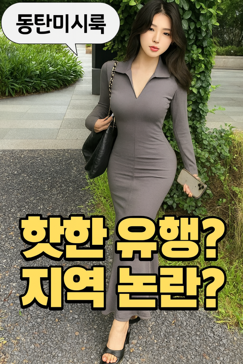동탄미시룩, 그게 뭐길래?
