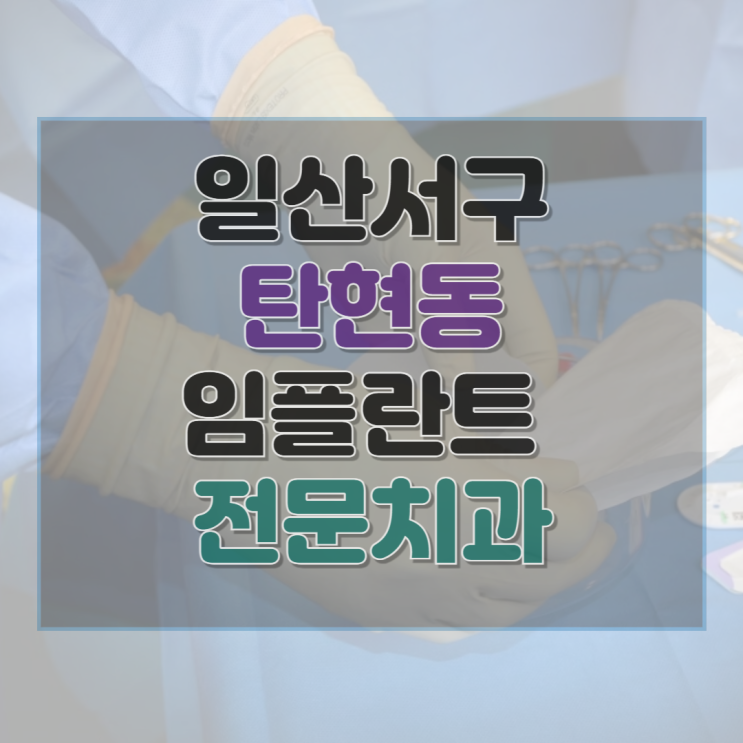  고양시 일산서구 탄현동 치과 임플란트 종류 가격 및 실제 후기 총정리
