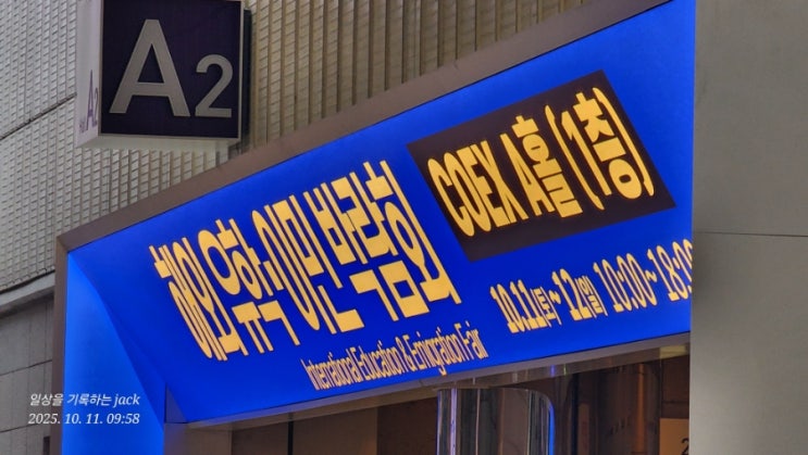  코엑스 유학·이민 박람회 2일 연속 방문 후기 – 해외 정착 다시 도전할까?