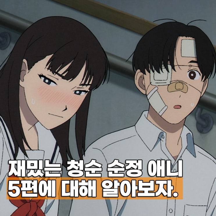  청춘 순정 애니 추천 BEST 5 감상평