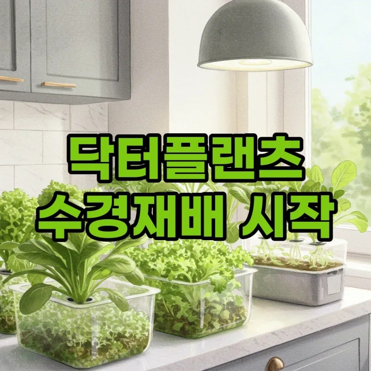  닥터플랜츠 수경재배기: 집안 텃밭 로망 실현하기