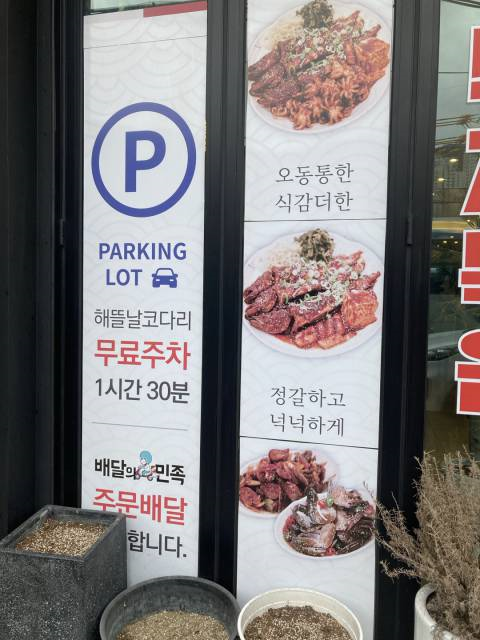 해뜰날코다리 사진 3