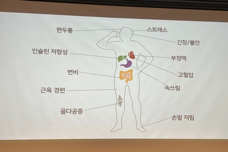  멜라루카 2025년 10월 추가 우대회원 혜택 및 신제품 멜라루카 마그네슘 소식