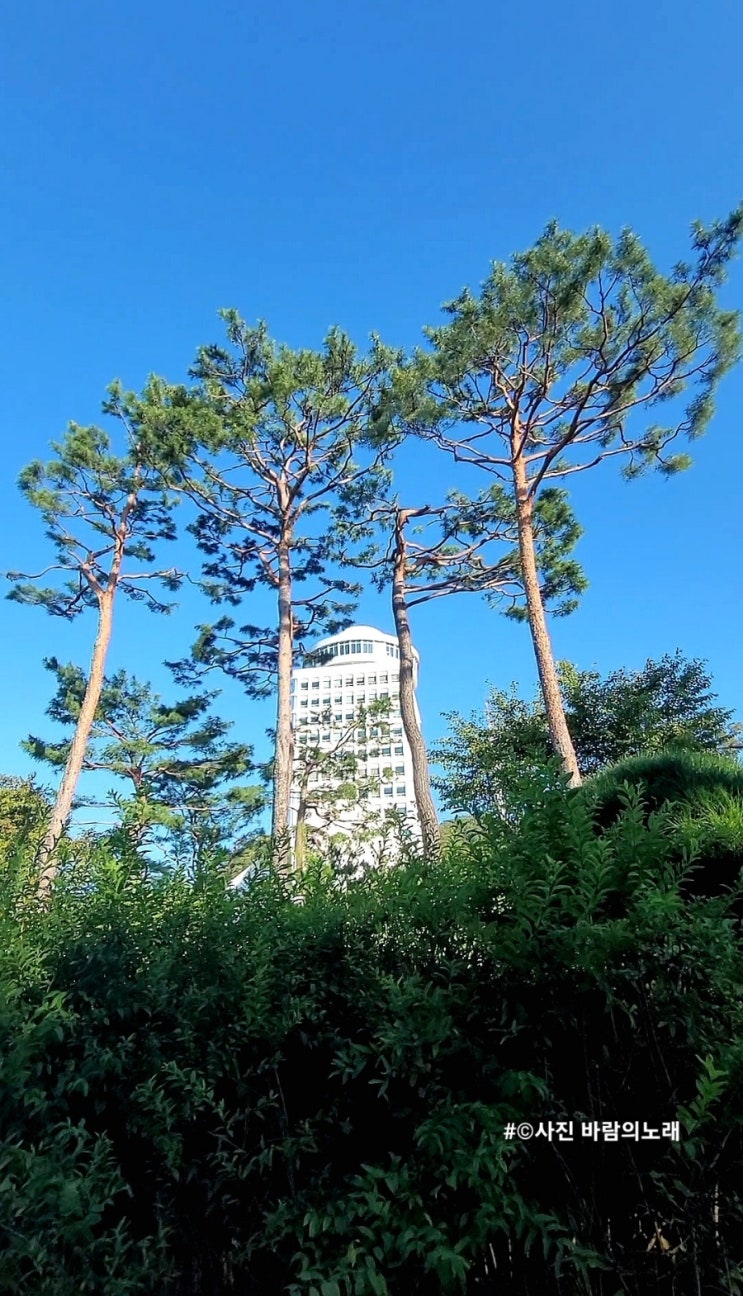 올해 <b>노벨평화상</b> 수상자... 마차도, <b>트럼프</b> 대통령에 거듭 <b>감사</b>... 